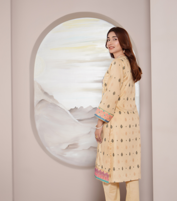 Naksh Stitched Embroidered Suit