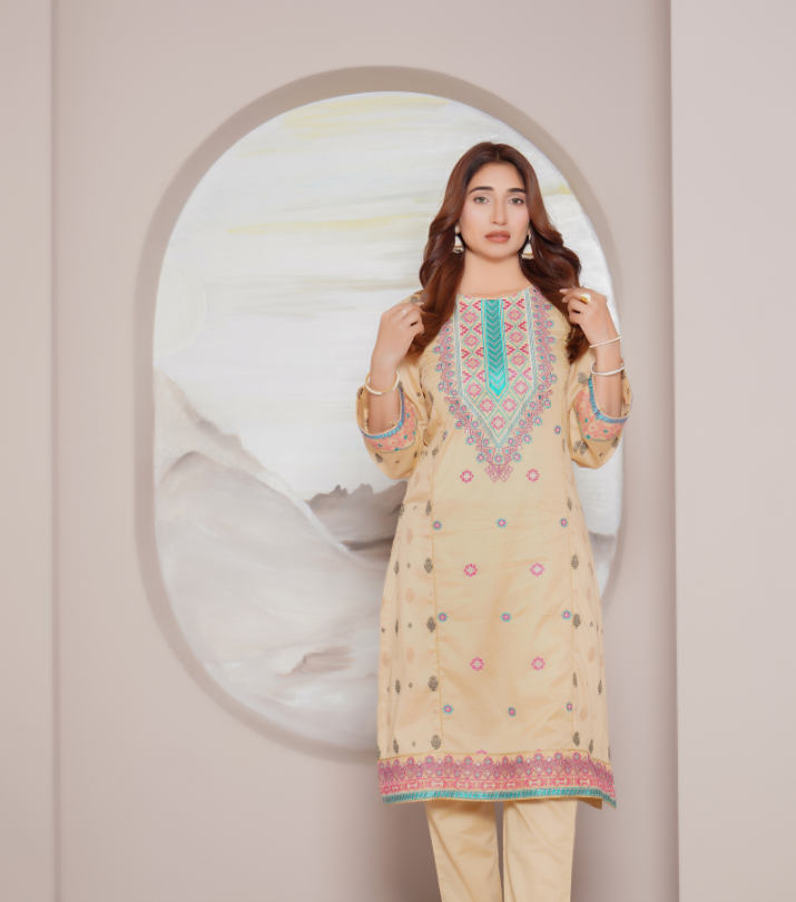 Naksh Stitched Embroidered Suit