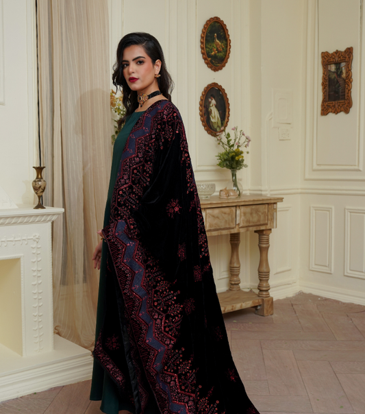 Velvet  Embroidered Shawls